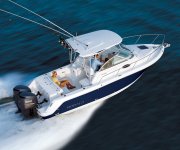Robalo 265 WA